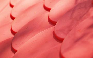 Corton plastic roof costs