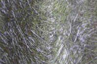 Corton fibreglass roof work